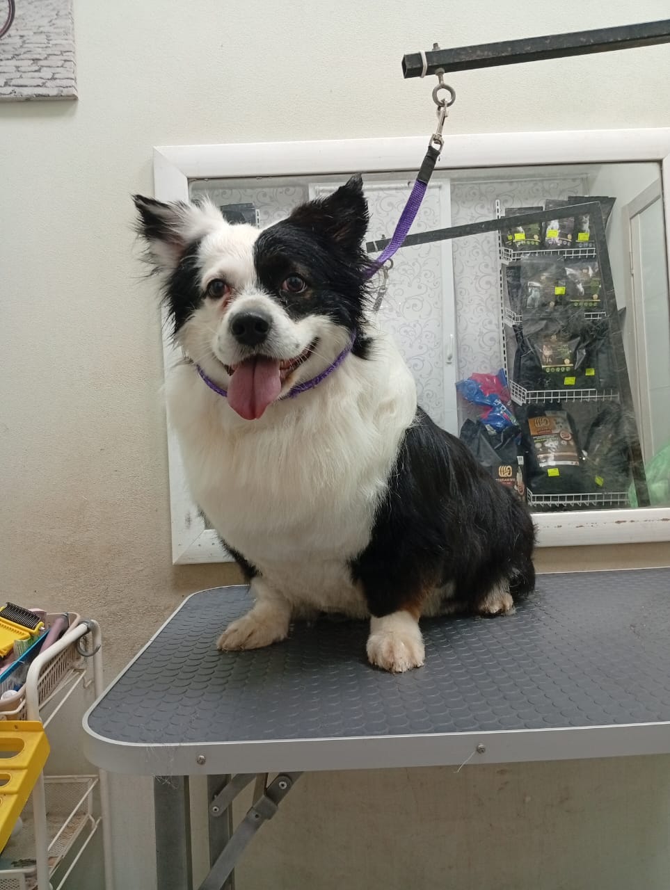 Наши работы